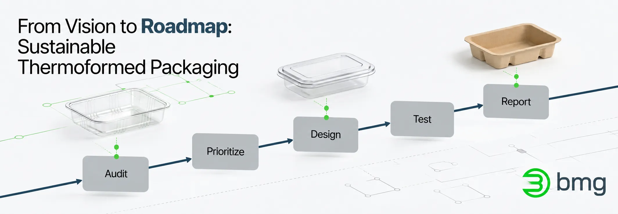 From Vision to Roadmap: Turning Sustainable Packaging Goals into Real-World Results